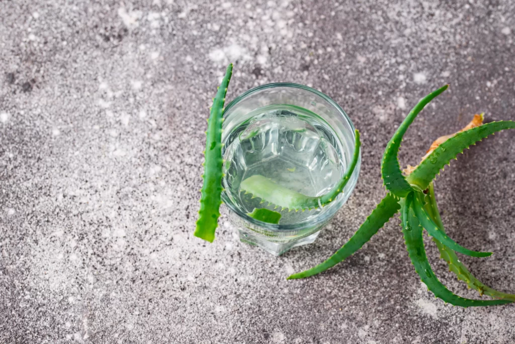 como-plantar-desde-agua-aloe